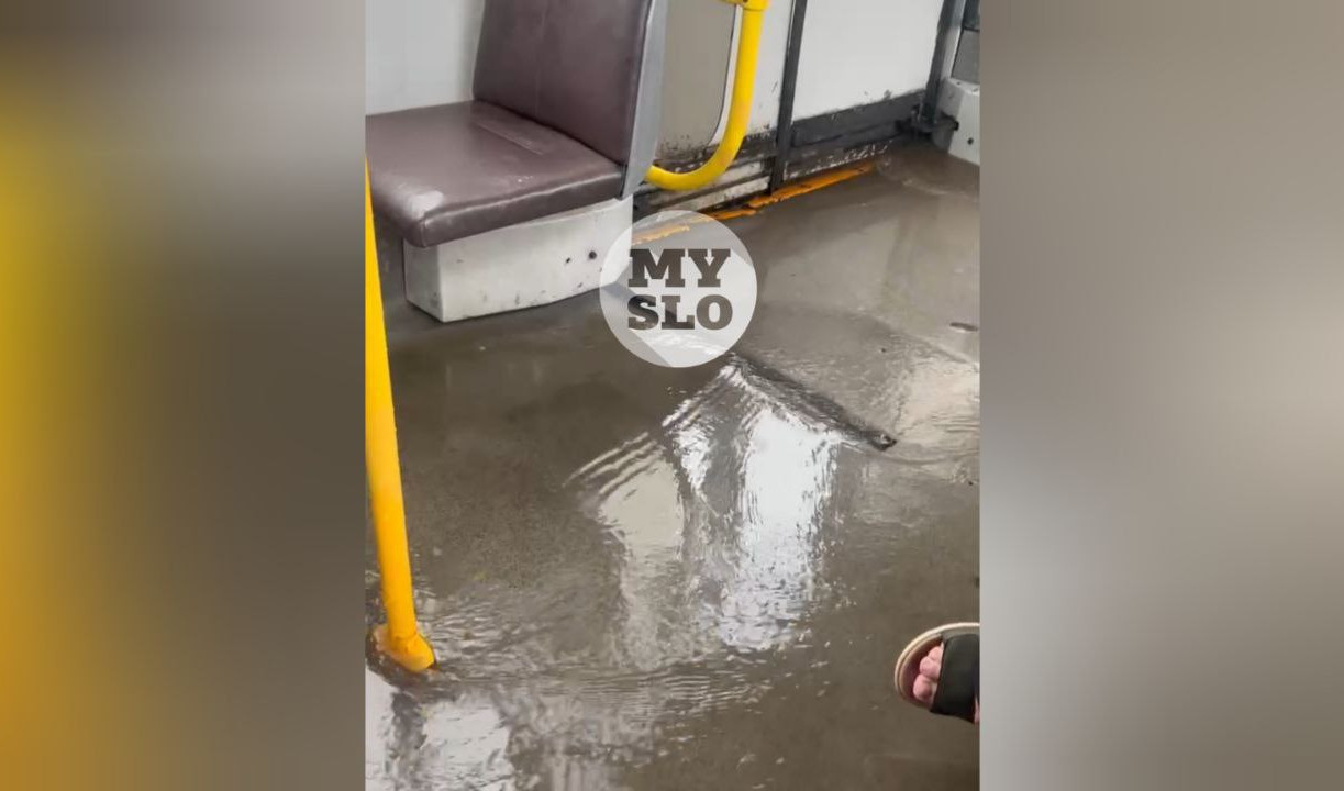 В Туле во время ливня затопило троллейбус В Туле во время ливня затопило троллейбус