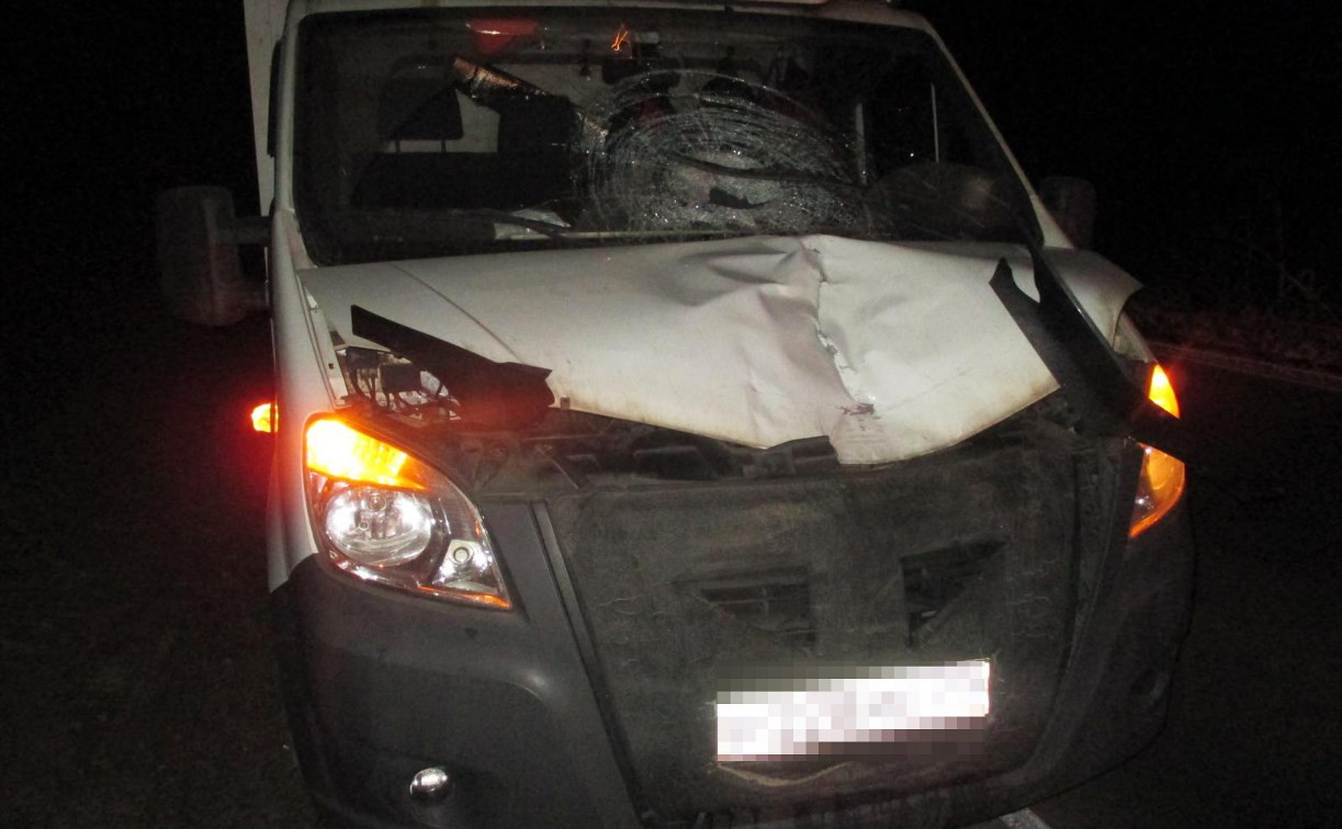 В Кимовском районе грузовик насмерть сбил пешехода
