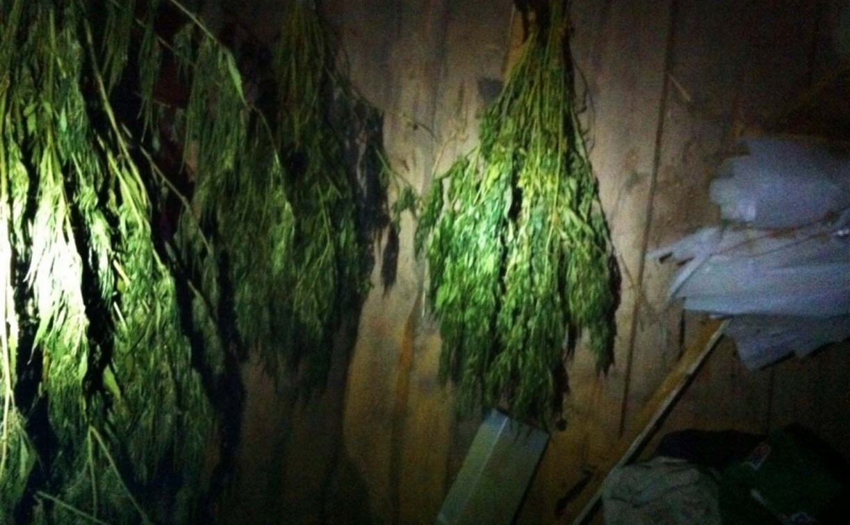 У жителя Ясногорского района нашли 3,5 килограмма конопли