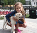 Президент России подарил 7-летней тулячке щенка лабрадора
