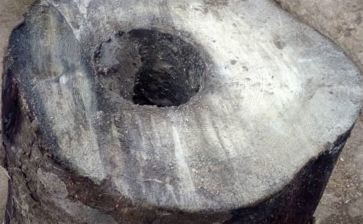 На улице Сойфера в Туле откопали старинный деревянный водопровод