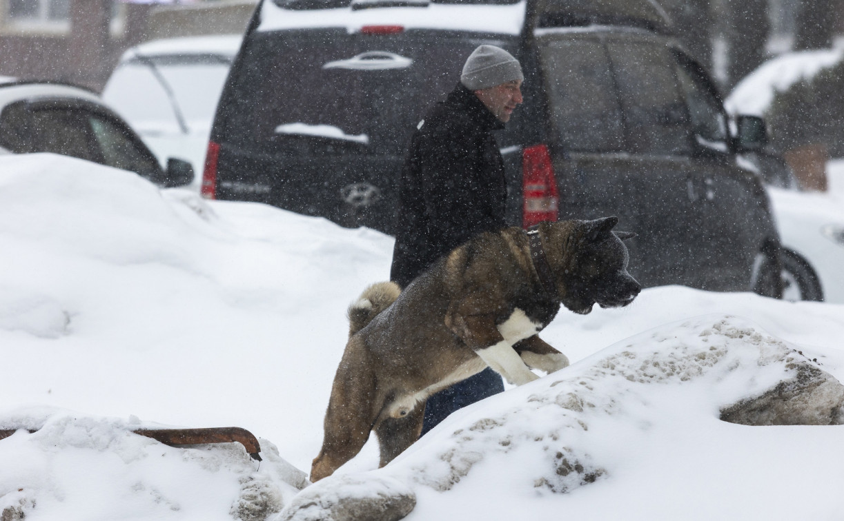 Снежный апокалипсис в Туле: фоторепортаж с улиц города