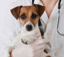 До конца года в Тульской области реорганизуют учреждения ветеринарии