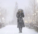 Погода в Туле 21 февраля: метель, порывистый ветер и легкий мороз