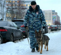 В Туле полицейские со служебными собаками осмотрят избирательные участки