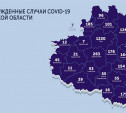В каких городах Тульской области есть коронавирус: карта на 27 мая