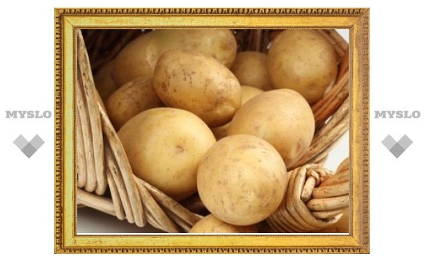 Засуха на треть сократит урожай картошки