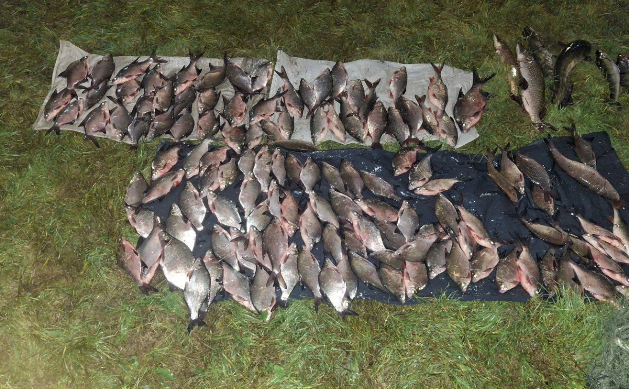 В Алексине двое браконьеров нанесли ущерб водным биоресурсам на сумму более 65 тыс. рублей