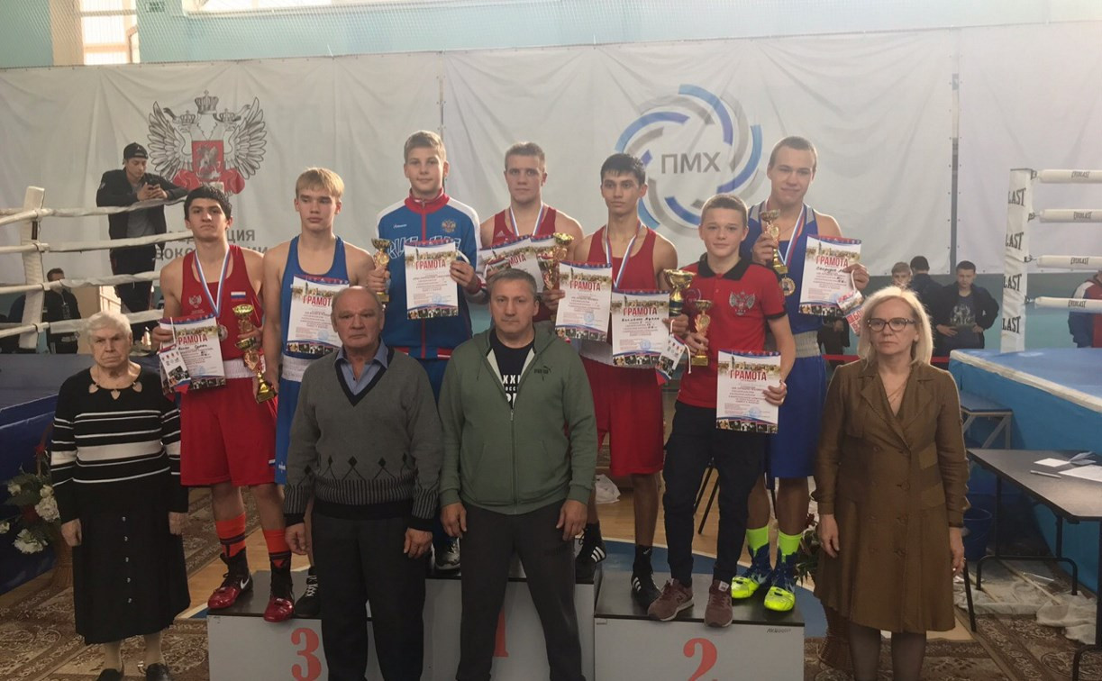 12 боксеров из Тульской области стали победителями турнира «Мемориал Жабарова»