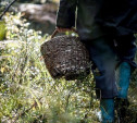 Заблудившихся тульских грибников нашли в Чертовом городище под Калугой