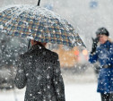 Погода в Туле 4 декабря: сильный ветер и мокрый снег