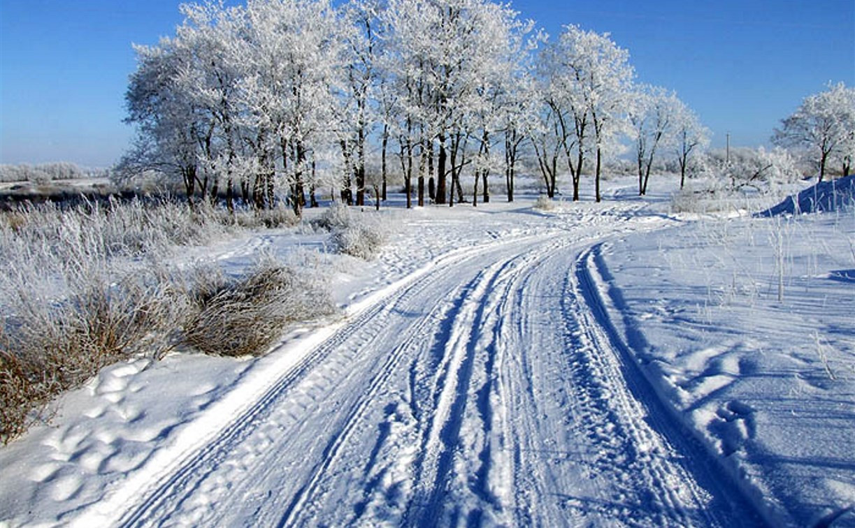 Синоптики: к 23 февраля в центральную Россию придут сибирские морозы