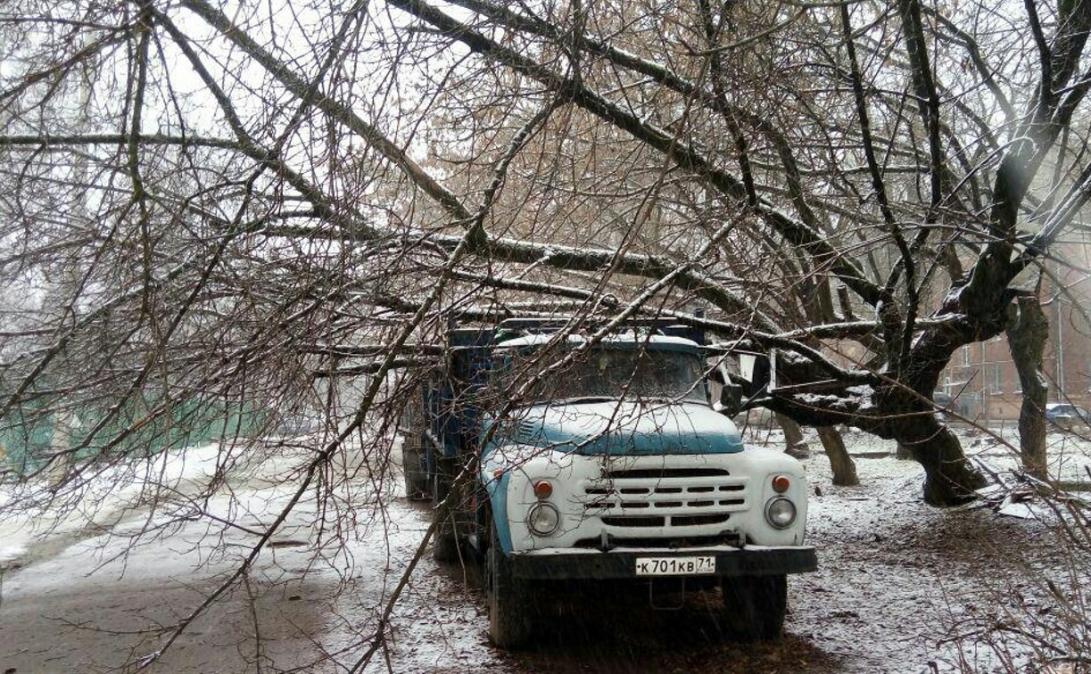 В Туле на улице Серова на грузовик упало дерево