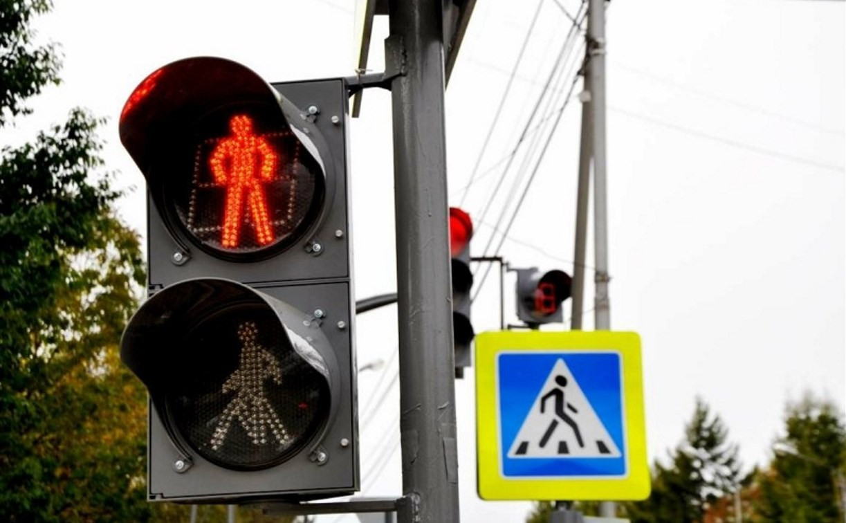 Узловская прокуратура потребовала от местных чиновников установить светофор рядом с лицеем