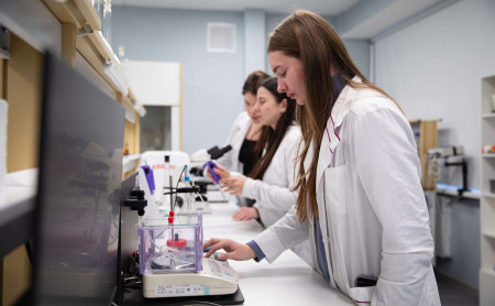 Новости компаний