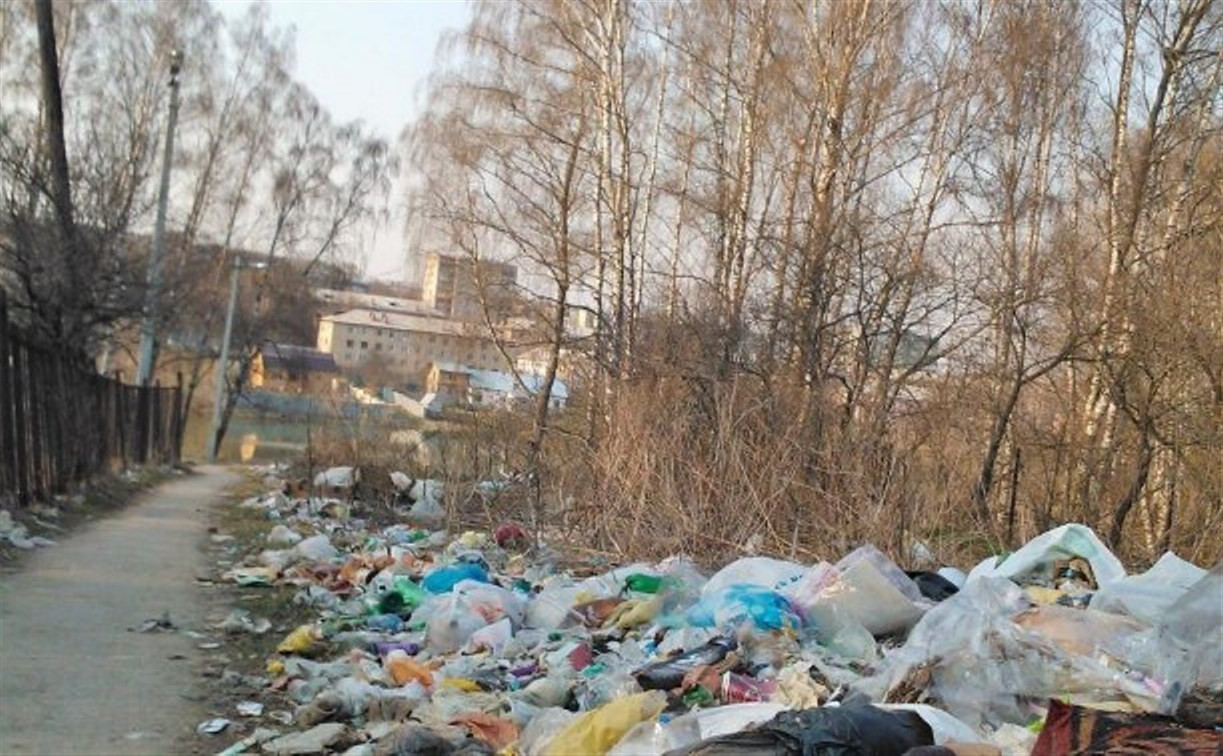 Березовую рощу на Косой Горе очистят от мусора