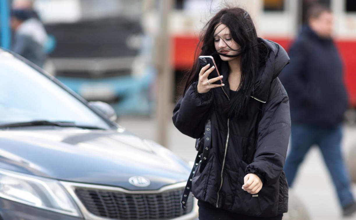 В Тульской области усилится ветер до 20 м/с