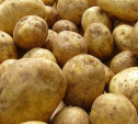 Жителя Плавского района осудят за кражу картофеля