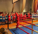Тульские боксёры завоевали 31 медаль в Рязанской области
