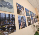 В Тульском экзотариуме открылась выставка «Пластмассовый мир»