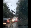 На ул. Н. Руднева в Туле дерево оборвало провода и нависло над дорогой