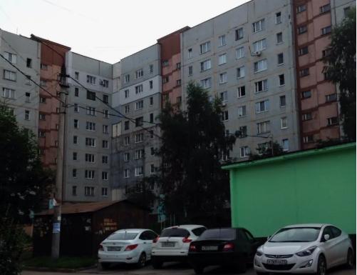 Соседи: Трупы погибших собак из запертой квартиры никто так и не вывез