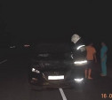 В ДТП на трассе «Тула-Новомосковск» пострадали четыре человека