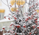 Погода в Туле 3 января: снег, гололедица и до -10 градусов