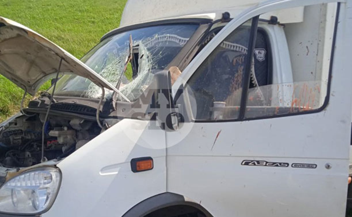 В Туле деталь авто пробила лобовое стекло ГАЗели: срочно нужна помощь очевидцев происшествия