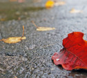 Погода в Туле 6 октября: дождь, холод и порывистый ветер