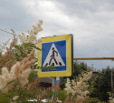 В Тульской области официантка попалась на краже дорожного знака 