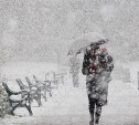 Погода в Туле 8 января: мороз, метель и гололедица
