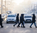 За год в Тульской области насчитали свыше 350 ДТП с пешеходами