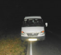 В Тульской области на трассе микроавтобус сбил мужчину