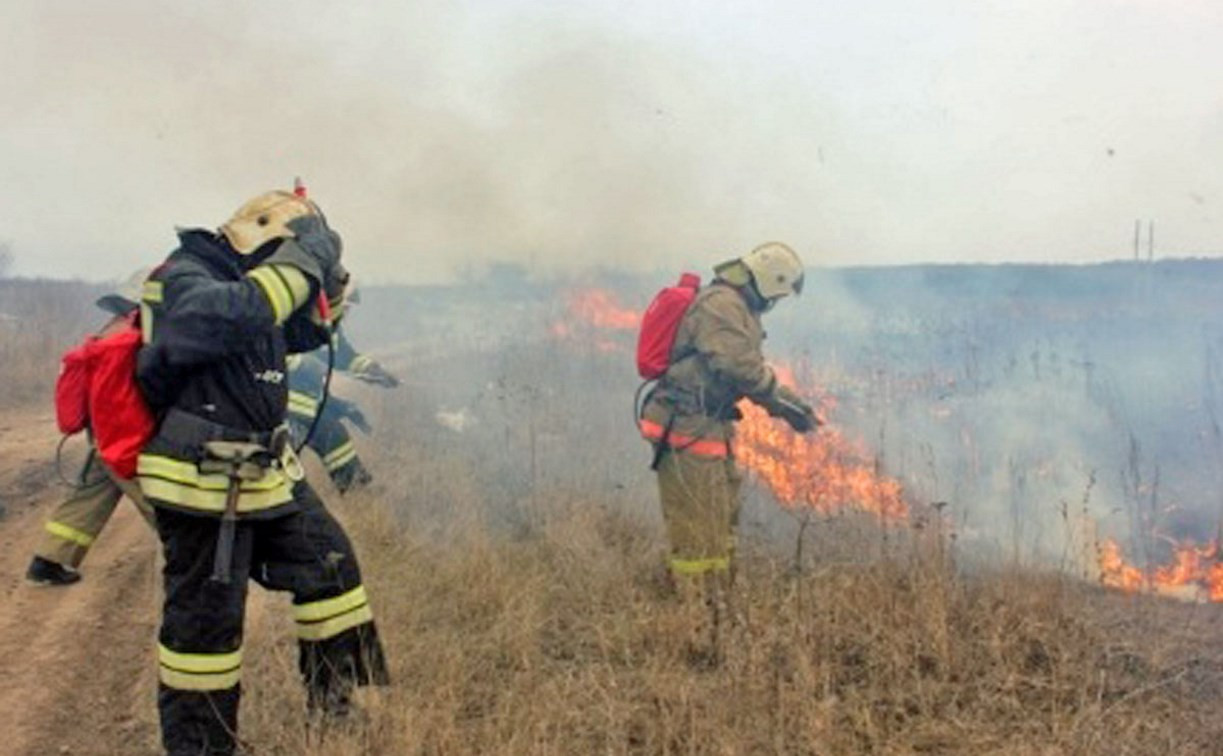 С 6 апреля в Тульской области введут особый противопожарный режим
