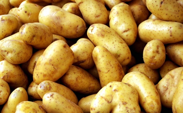 Жителей Суворова осудят за кражу 5 килограммов картошки