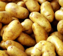 Жителей Суворова осудят за кражу 5 килограммов картошки