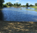 Школьница из Тульской области получила 100 000 рублей на восстановление пруда