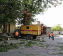 В Туле на улице Оборонной дерево повалило столб ЛЭП