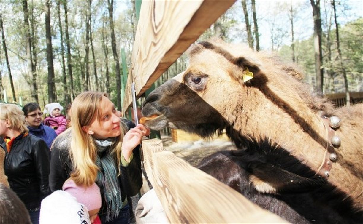 В Новомосковске открылся мини-зоопарк