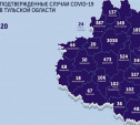 В каких городах Тульской области есть коронавирус: карта на 14 июля