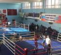 В Туле стартовал турнир по боксу «Мемориал Романа Жабарова»