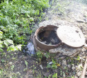 Жители поселка под Щекино тонут в мусоре и канализационных стоках