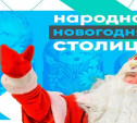 Тула может стать народной новогодней столицей России