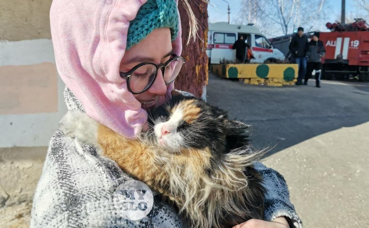 На пожаре в Менделеевском спасли трехцветную котейку