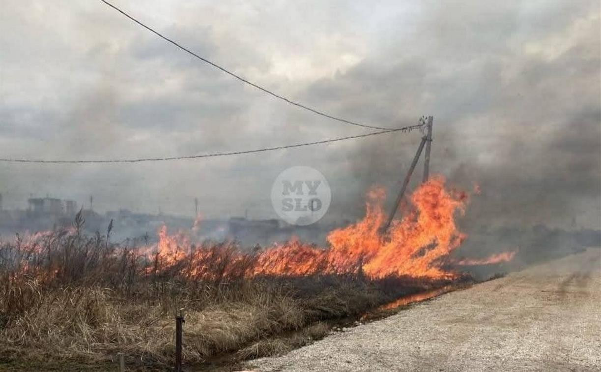 Жители Северного Заречья: «Наши дома может уничтожить огонь с горящих полей!»