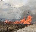 Жители Северного Заречья: «Наши дома может уничтожить огонь с горящих полей!»