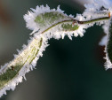 Метеопредупреждение: в Тульской области ожидается мороз