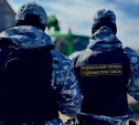 В Кимовском районе лecopyб зaплaтил З00 тыcяч рублей штpaфa, опасаясь замены наказания 
