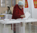 Выборы Президента РФ: явка избирателей на 15 марта – 37,43%